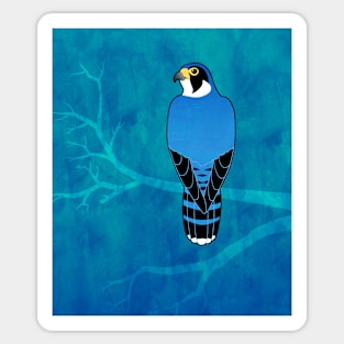 Peregrine Falcon (Falco peregrinus) Sticker